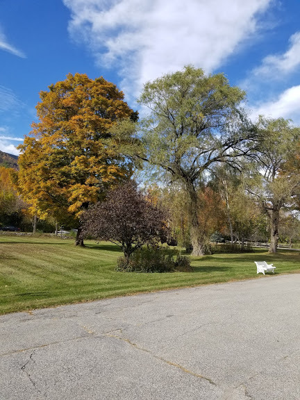 Autumn in the Green Mountains in Manchester VT