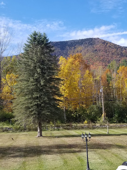 Autumn in the Green Mountains in Manchester VT