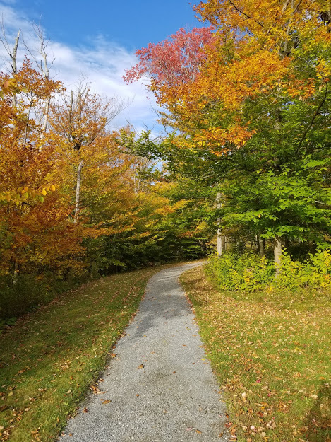 A gravel path through vividly colored trees